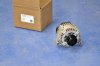 LS7Alternator.jpg