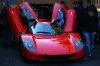 DSC02511.jpg
