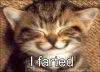 lolcatsdotcomclu5vrpst7sl5.jpg