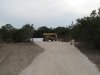 IMG_1637_1_1.JPG