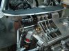 DSC00530.JPG