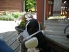 DSCN0876.jpg