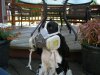 DSCN0877.jpg