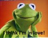 Kermit-two2.jpg