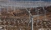 Leo-blog-on-wind-energy---006.jpg