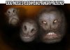 dog aliens.jpg