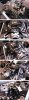 73522-6speedVer1.JPG