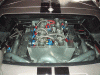 rear.gif