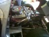 IMG00875-20130318-1558.jpg