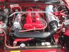 DSCF1437a.jpg