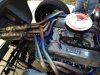 GT40 Snakes.JPG