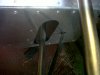 IMG01135-20130619-2050.jpg