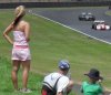 pukekohe  racing.jpg
