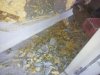 2013-06-15 11.30.56.jpg