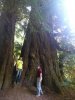 20130813_121730.jpg