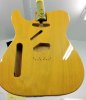 Telecaster Nov 13 - 01.jpg