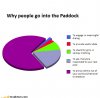 Pie charts 2.jpg