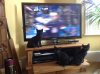 Ice Hockey_Kittens_and a Cricket Bat.jpg