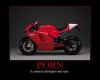 Ducati_Porn.jpg
