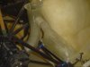 DSC00360.jpg
