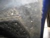 IMG_1001lr.jpeg