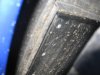 IMG_1004lr.jpeg