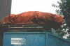 77312-alloydumpster.jpg
