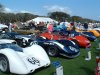 77347-amelia2.JPG
