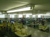 79439-GRP2.JPG