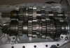 79814-6SpeedDogUN1.JPG