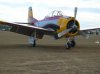 81092-dh7.jpg
