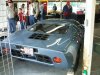 Pantera lousy angle.JPG