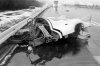 917201971test4.jpg
