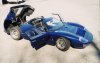 blue beauty open .jpg