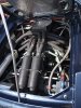lotus V8.2.jpg