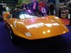 NEC 2014 056.jpg