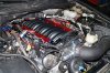 DSC00143small.jpg