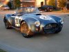 Cobra 1.JPG