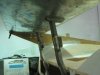 Wings10.jpg