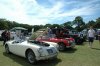 DSC_1254s.jpg