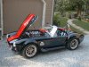 cobra3.jpg