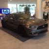 mustang.jpg