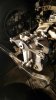 20160229_185934_resized (2).jpg