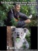 greenies for Koalas.jpg
