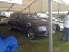 Chomondeley 2016 015.jpg