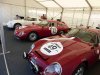Alfa TZs.jpg