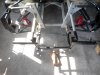 IMG_20160908_105720.jpg