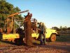 Wild-pig-small.jpg