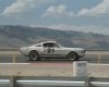 small-mustang21.jpg
