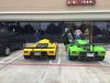 green and yellow2.jpg